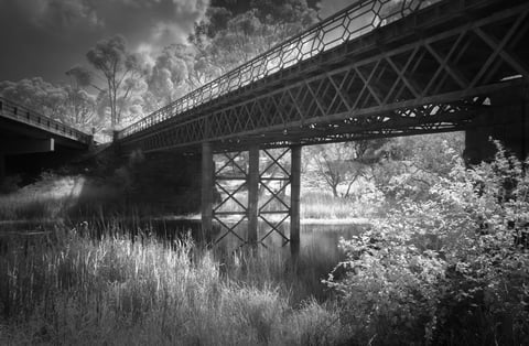 Black and white image of an industrial bridge spanning over a river with reeds and vegetation along the banks